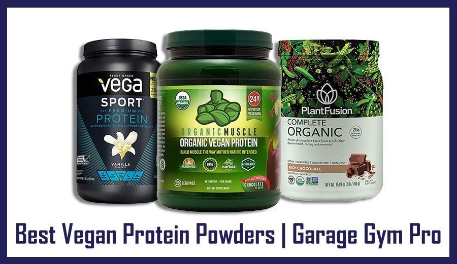 Best Vegan Protein Powder