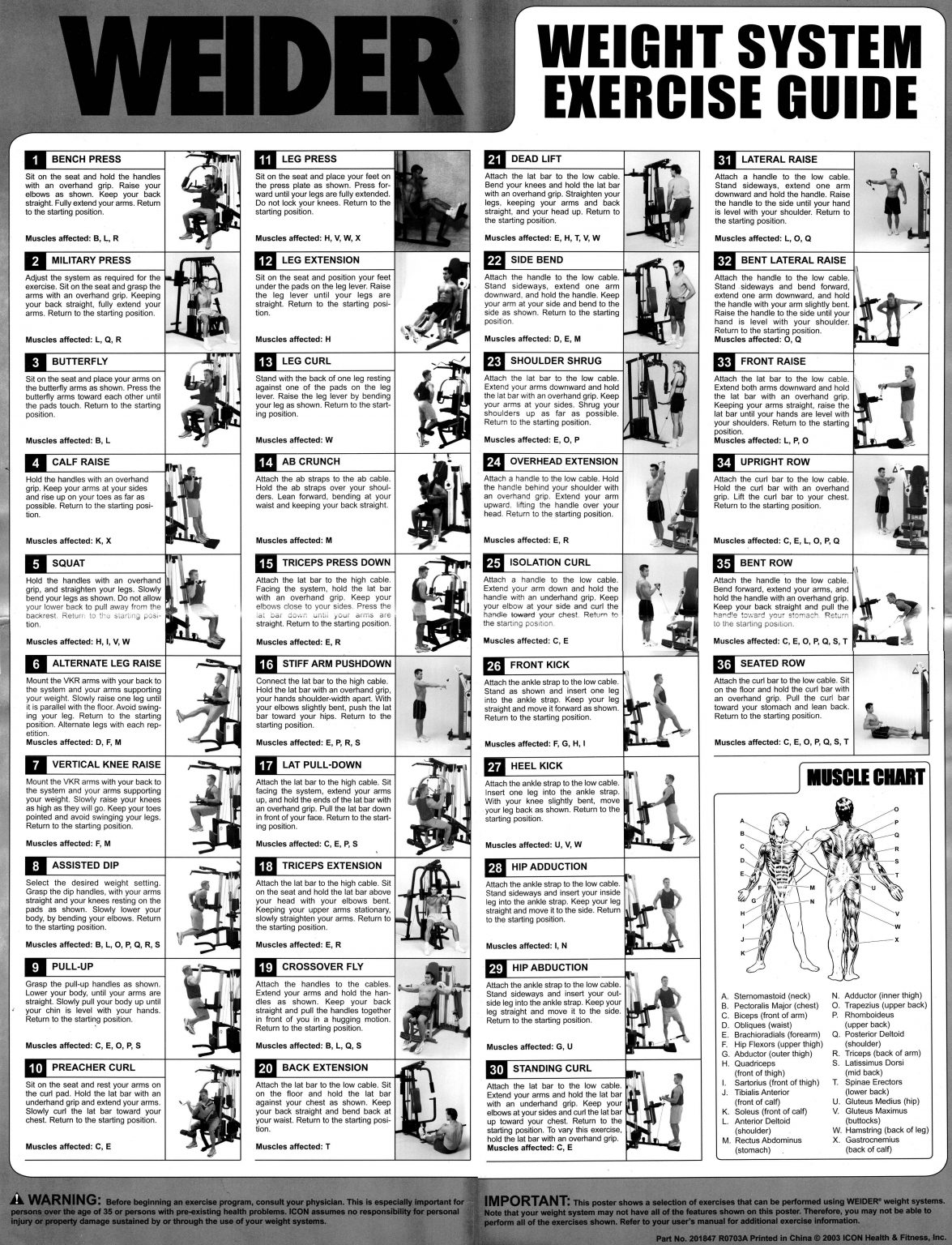 Weider Home Gym Exercises Charts And Free Pdf Plans