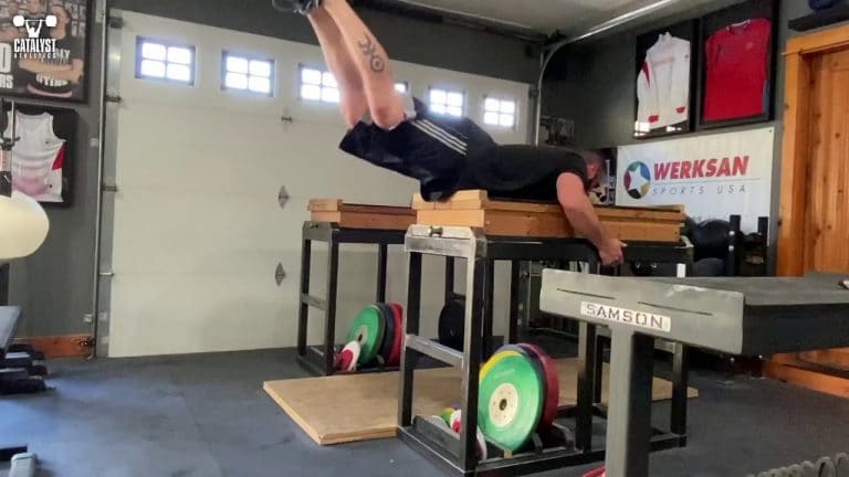 6 Best Reverse Hyperextension Alternative Exercises