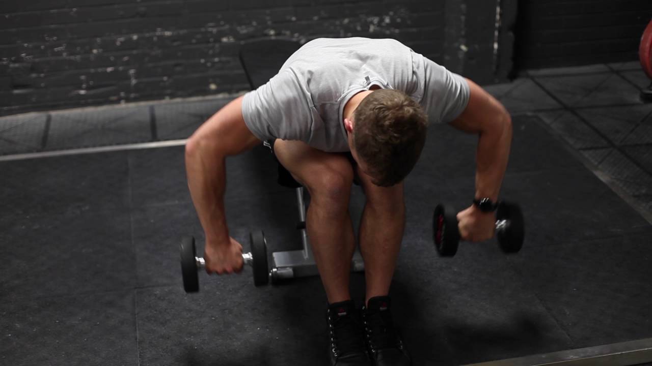 Dumbbell Seated Bent-Over Rear Delt Row