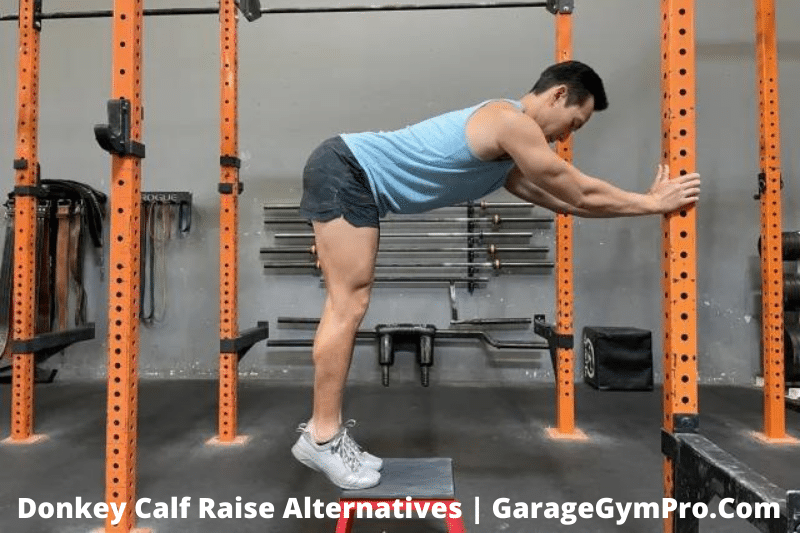 Donkey Calf Raise Alternatives (10 Exercises To Try At Home)