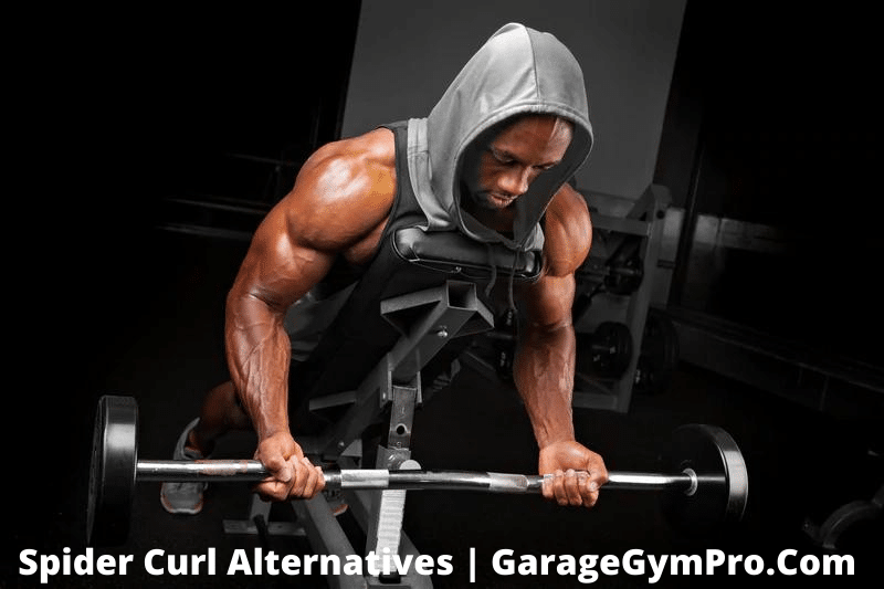 Spider Curl Alternatives: 12 Best Options For Bicep Workouts