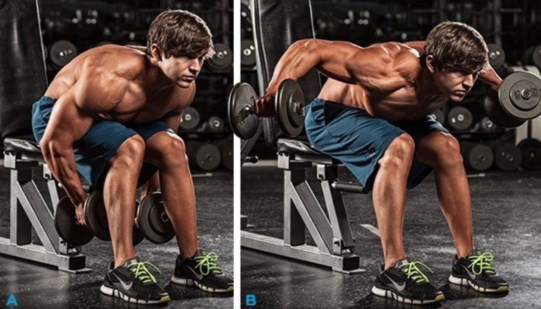 Seated Bent-Over Dumbbell Raise