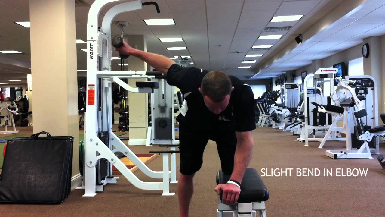Single Arm Dumbbell Reverse Fly With Support