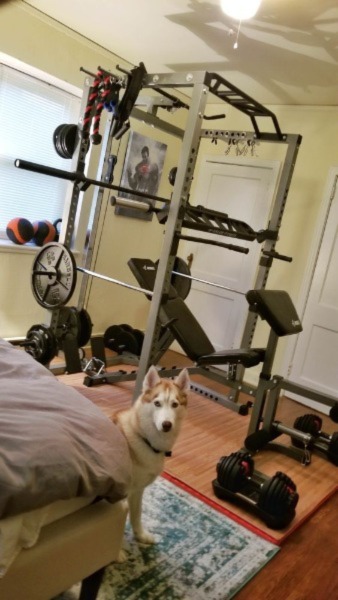 bedroom home gym with power rack, weight bench, and adjustable dumbbells