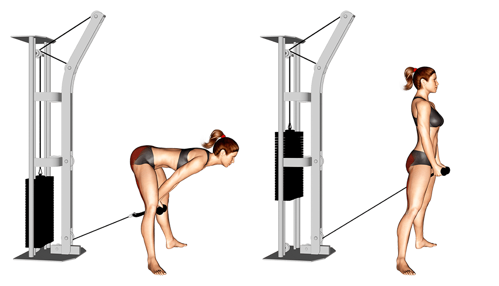 Woman Doing Cable Pull-Through Exercise