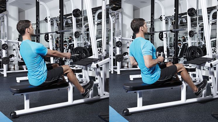 Man Doing Seated Cable Row Exercise