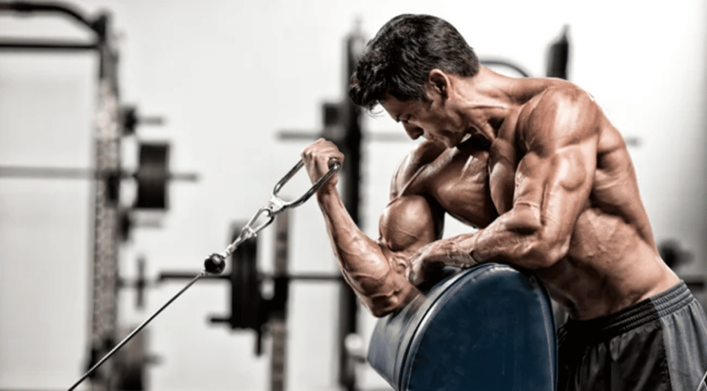 15 Best Cable Arm Exercises (For Massive Arms)