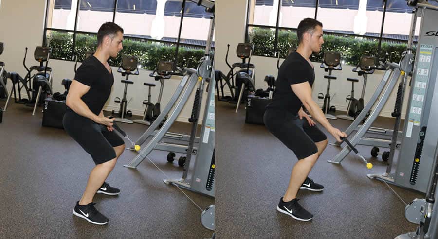 Standing Single Arm Cable Rows (Low)